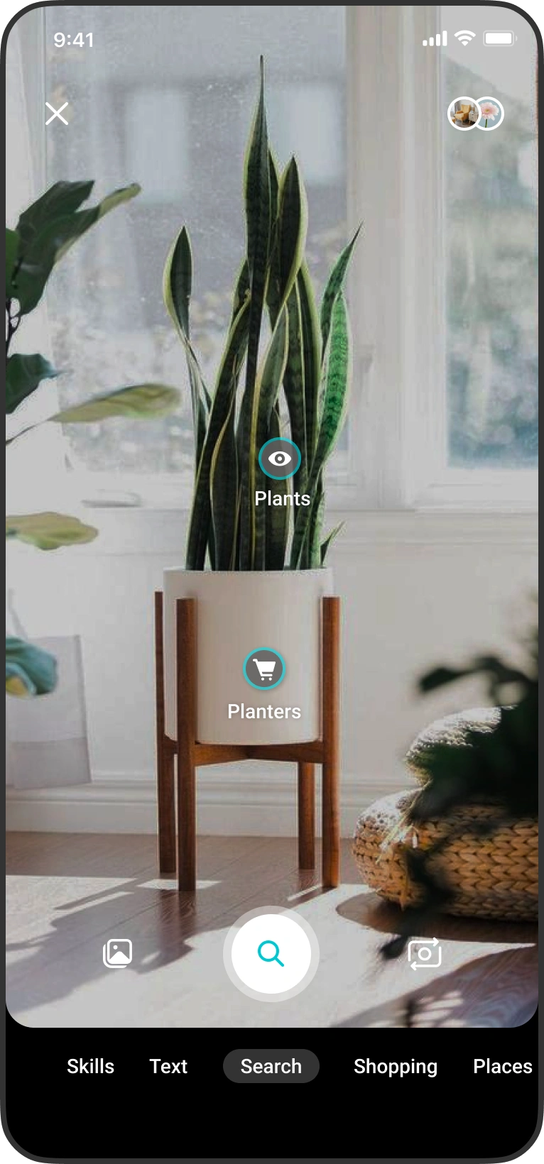 The camera naming several plants and planters in one scene.