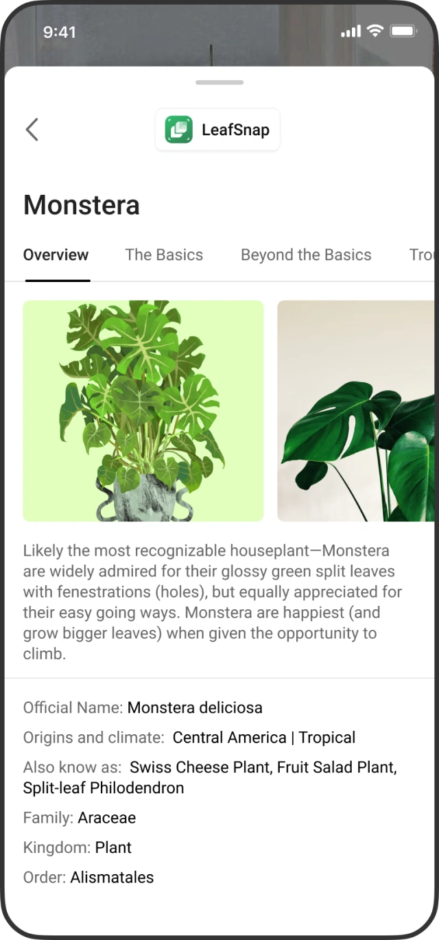 Several objects in the scene offered together.