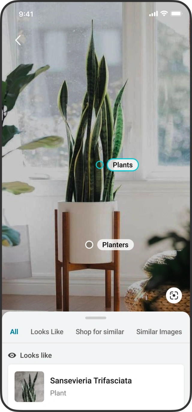 Look alikes and similar images offered for the object.