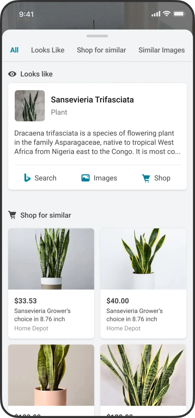 Places to shop the object, listed under the camera view.