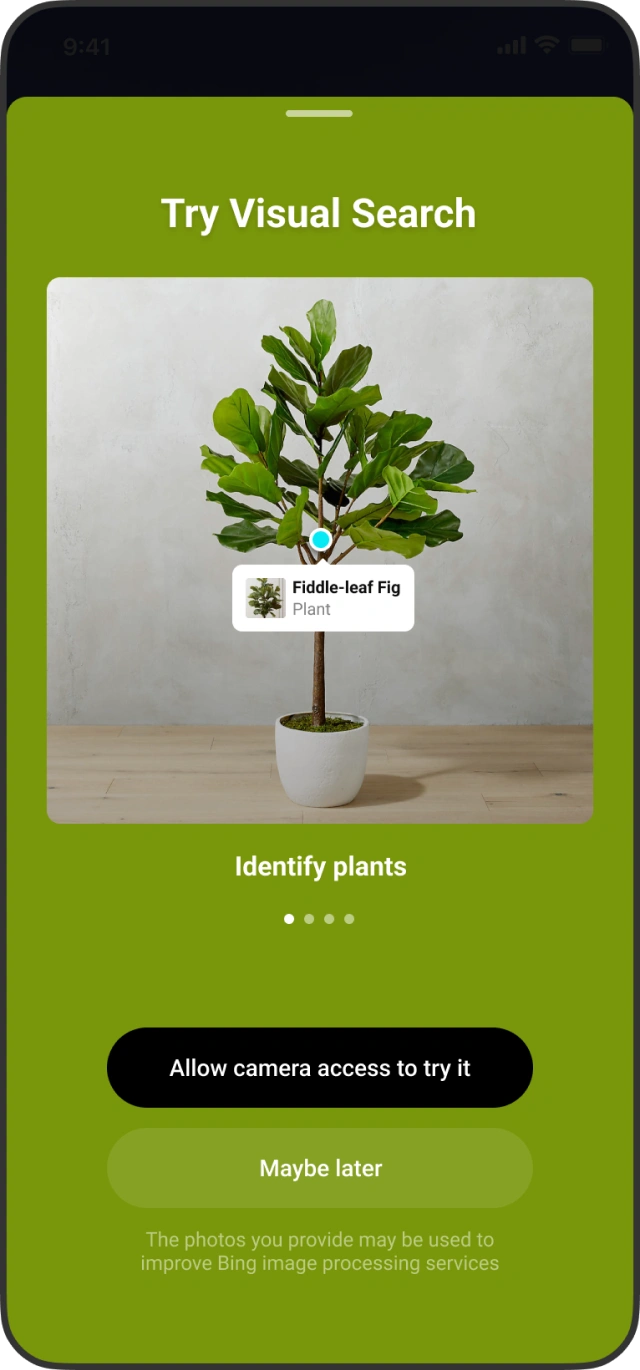 The first run introducing visual search.
