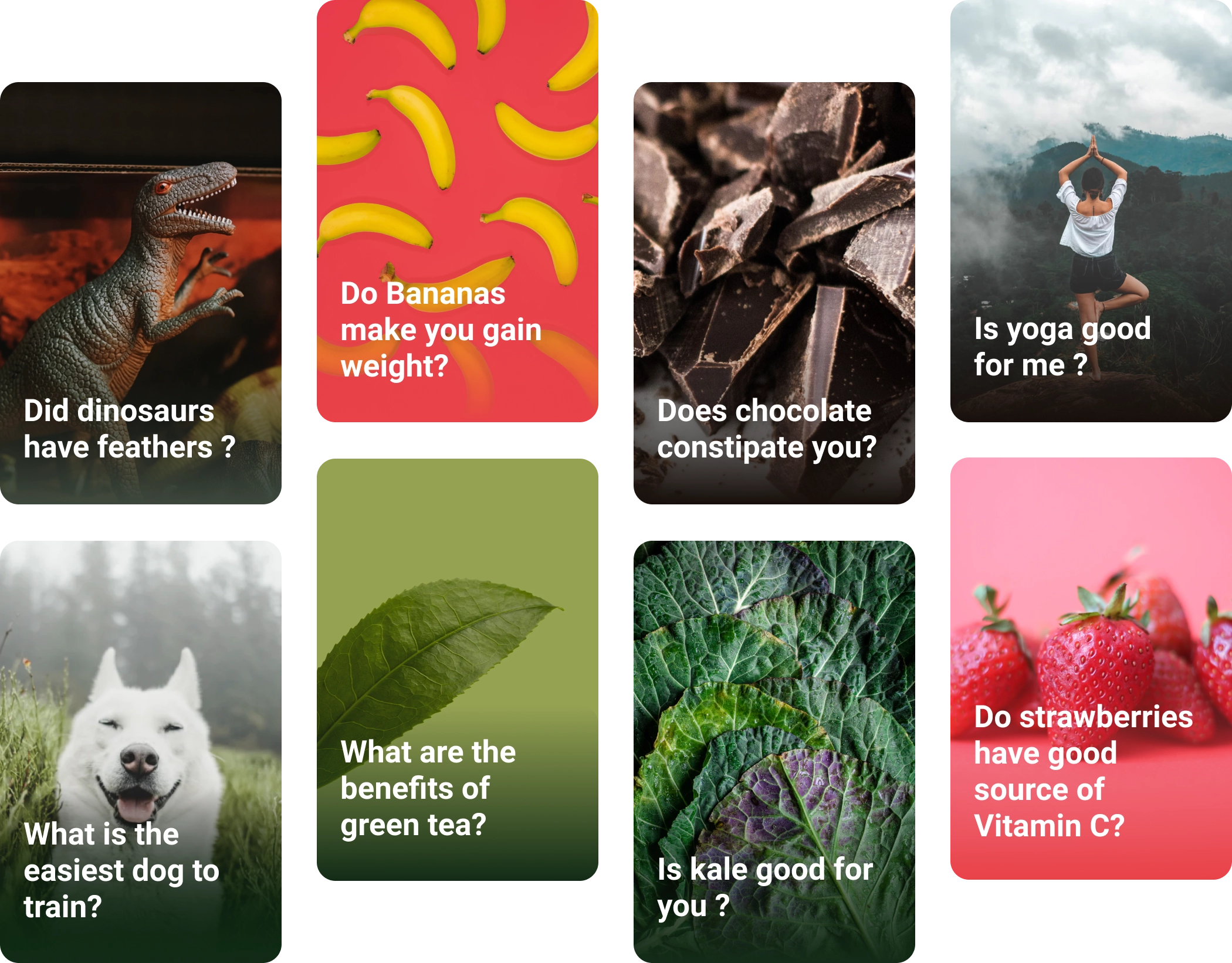 Intelligent Search answer cards on a dark green backdrop