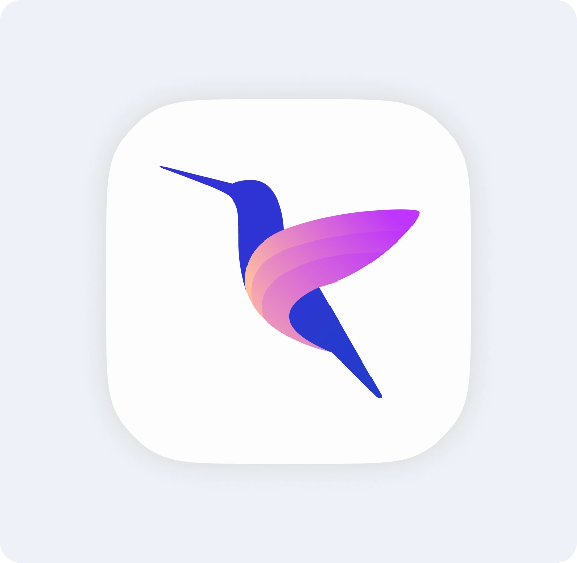 Hummingbird logo exploration